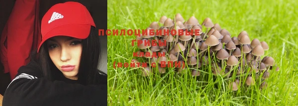 бутират Лиски