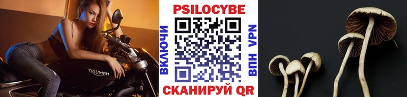 Галлюциногенные грибы Magic Shrooms МЕГА как зайти Лесозаводск