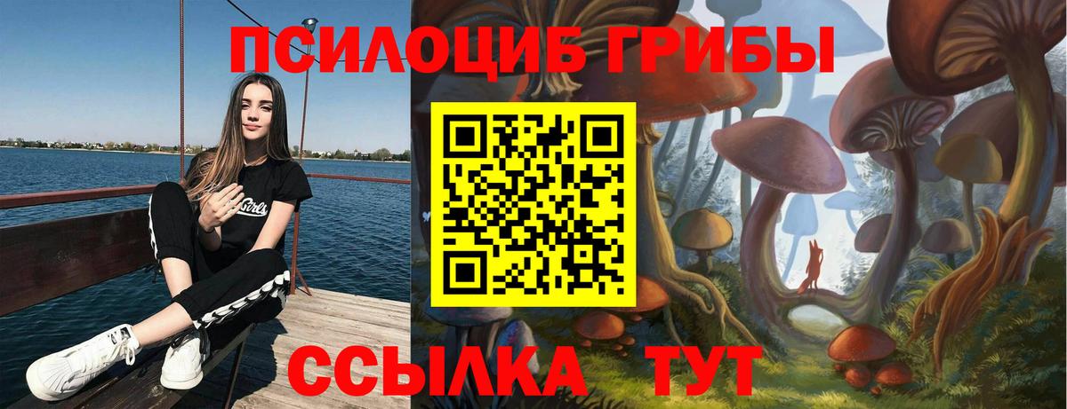 Лесозаводск  Галлюциногенные грибы Magic Shrooms  Вход с VPN  Галлюциногенные грибы Psilocybe 