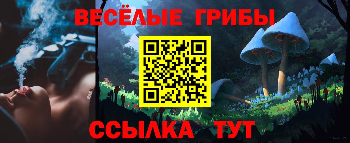 Псилоцибиновые грибы ЛСД Лесозаводск